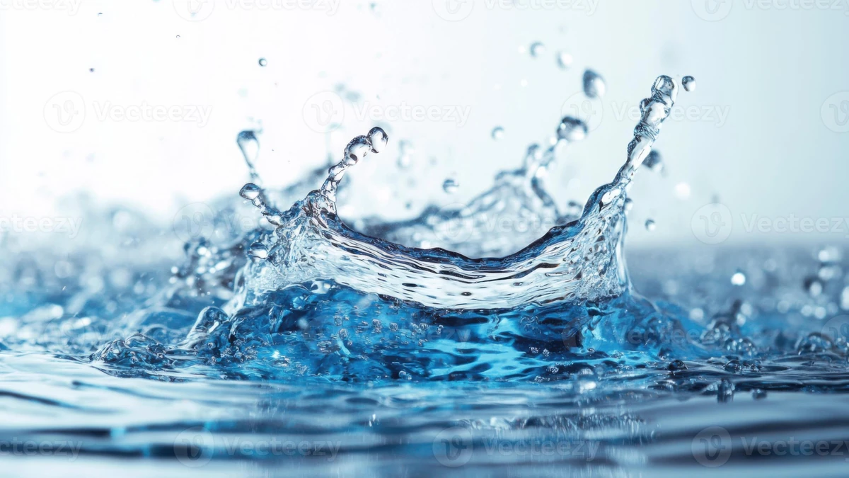 Best Waterproof Vibrators: Shower, Bath, and Pool-Safe Toys - related blog article