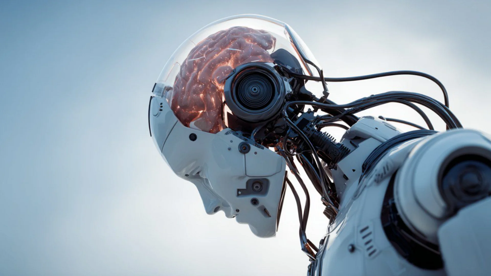 AI-powered sex robots — robotic companions with conversational AI, touch sensors and self-warming bodies