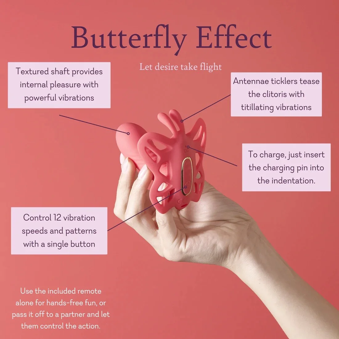 Butterfly Effect with Remote — view 3